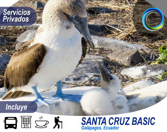galapagos image
