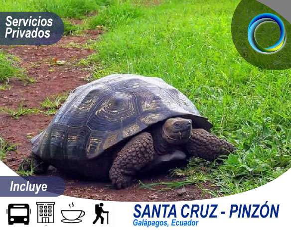 galapagos image